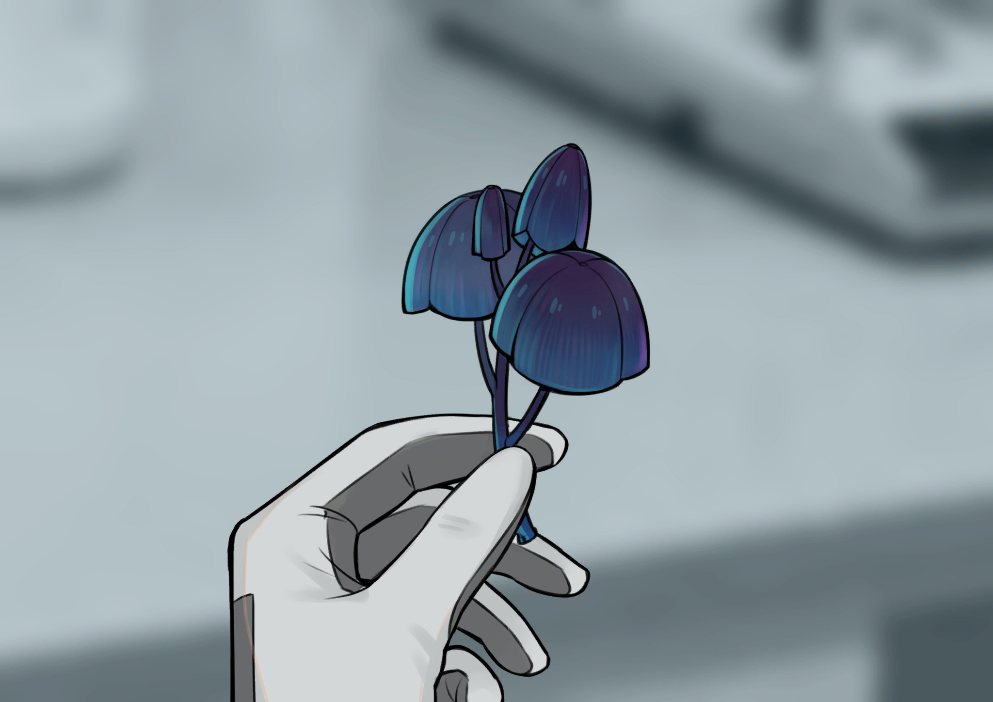 图片6,Aliya在科朗2-C上找到的一种新植物